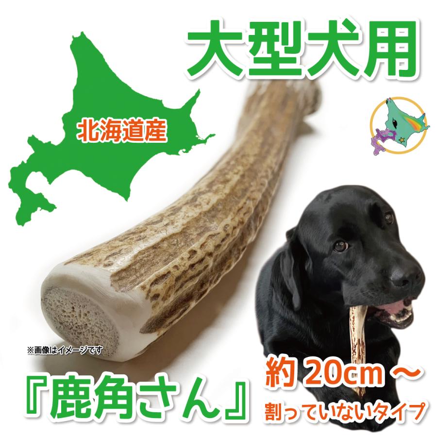 割っていないタイプ 大型犬用