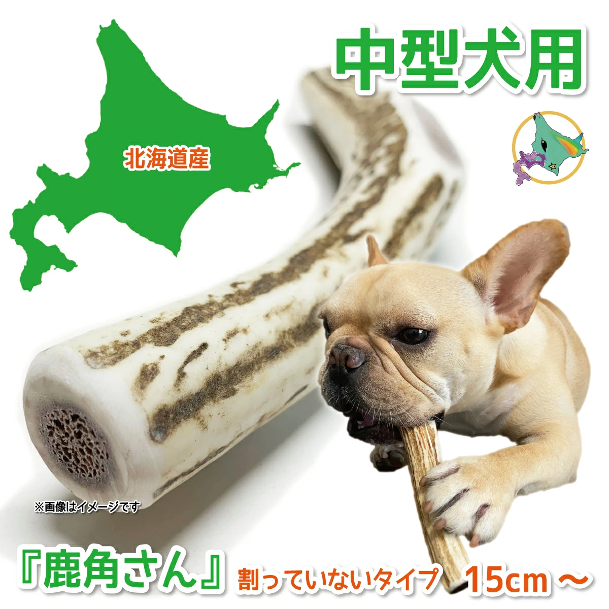 割っていないタイプ 中型犬用