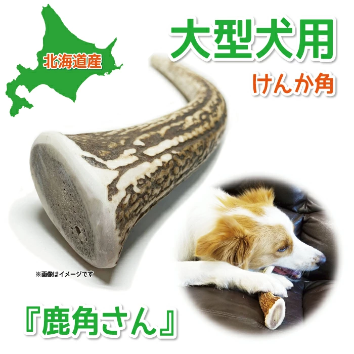 喧嘩角 大型犬用