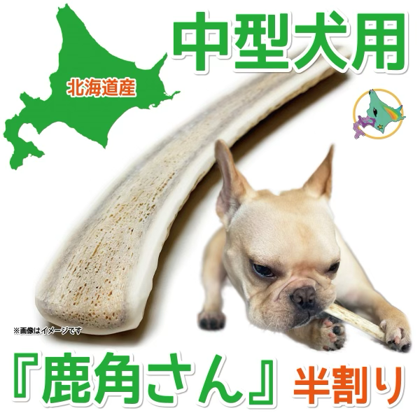 半割り 中型犬用