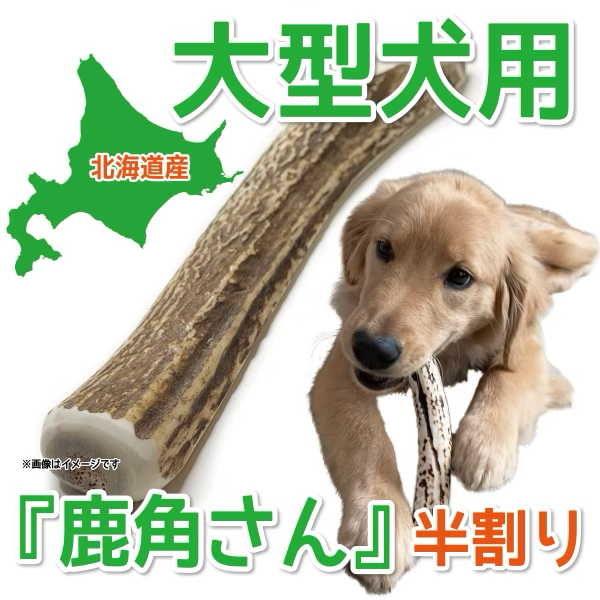 半割り 大型犬用