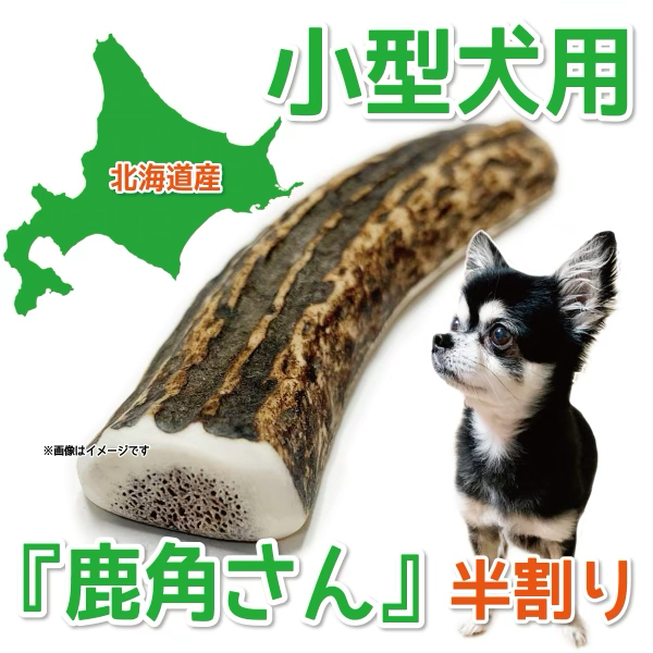半割り 小型犬用