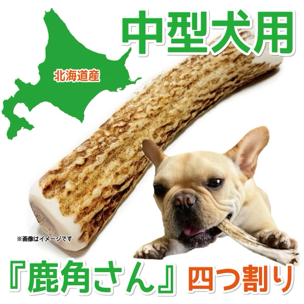 四つ割り 中型犬用